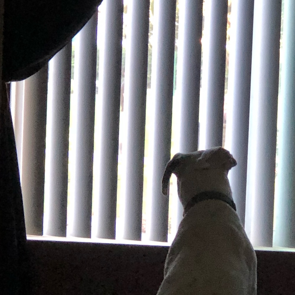 Meet your Posher, Karen